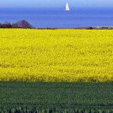 x0036 von Jochen Ruser